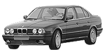 BMW E34 B3648 Fault Code