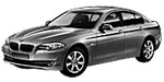 BMW F10 B3648 Fault Code